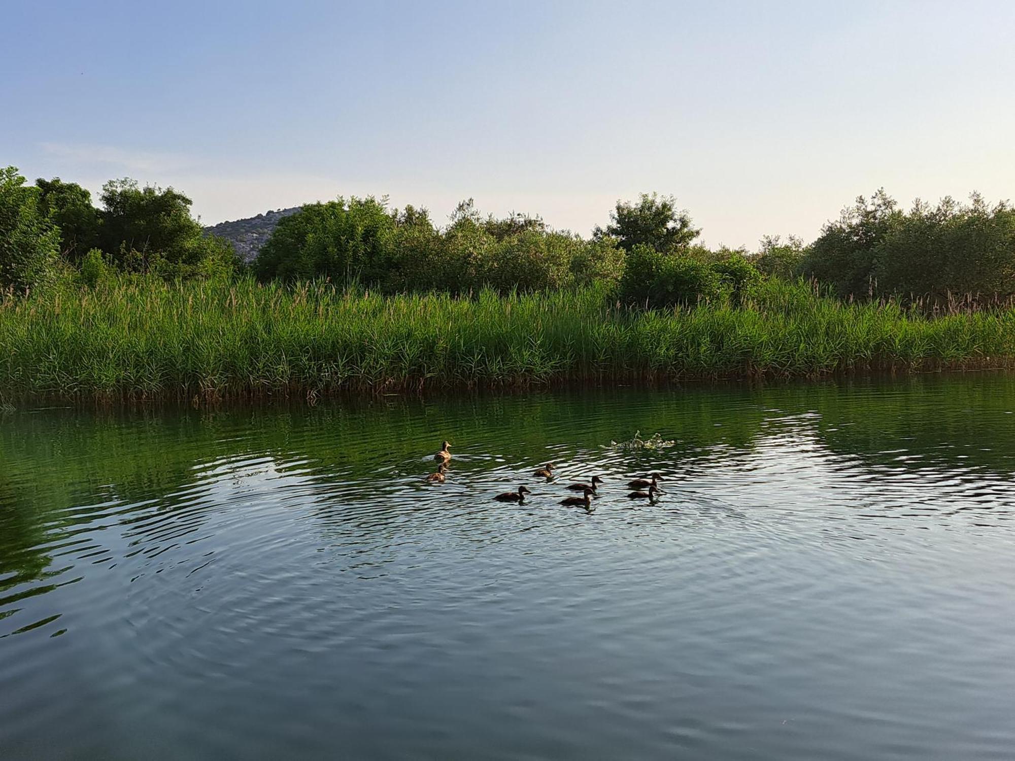 Apartmani Mostina Near River Ploce  Zewnętrze zdjęcie